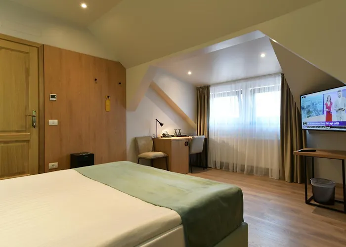 Prinz Gregor 3* Brasov